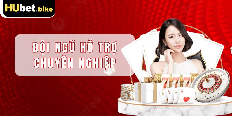 Đội ngũ của Hubet sẽ hỗ trợ để anh em thực hiện công việc đại lý thành công nhanh chóng