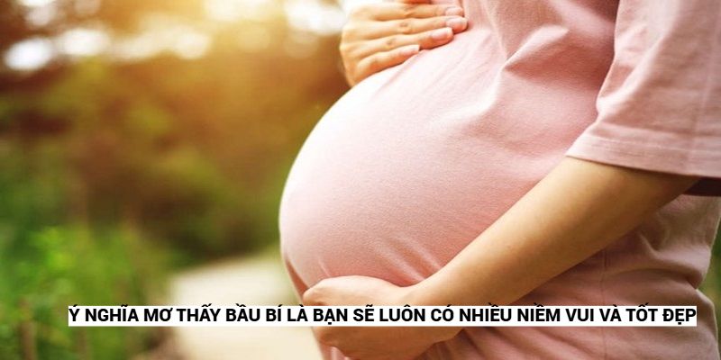 Ý nghĩa mơ thấy bầu bí là bạn sẽ luôn có nhiều niềm vui và tốt đẹp